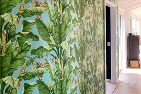 wallpaper installation Tauranga